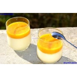panna cotta coulis de mangue 